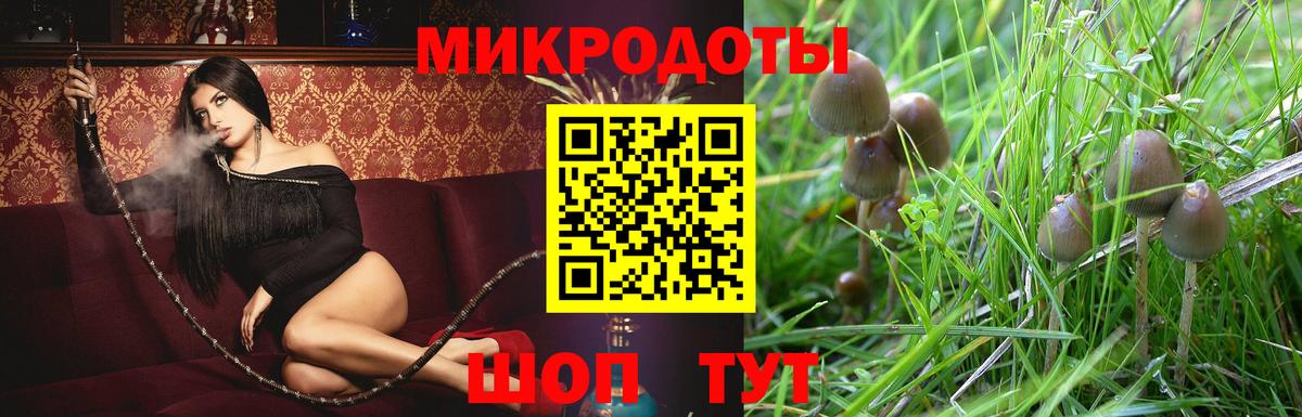 Псилоцибиновые грибы Magic Shrooms Королёв